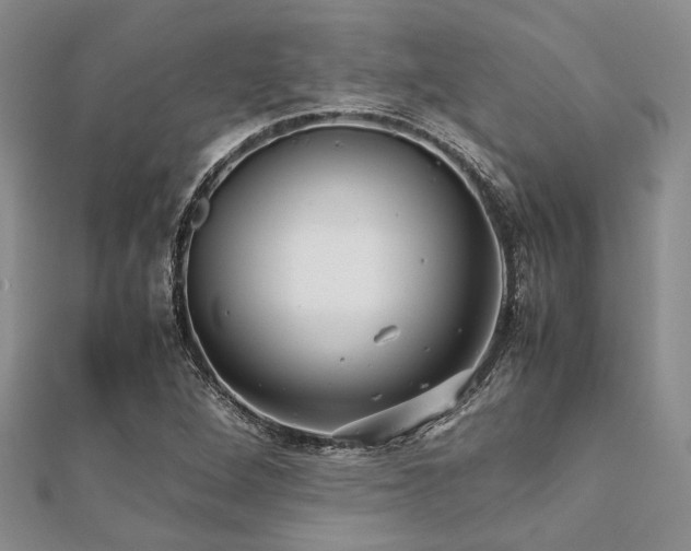 X0000112111264200908041534