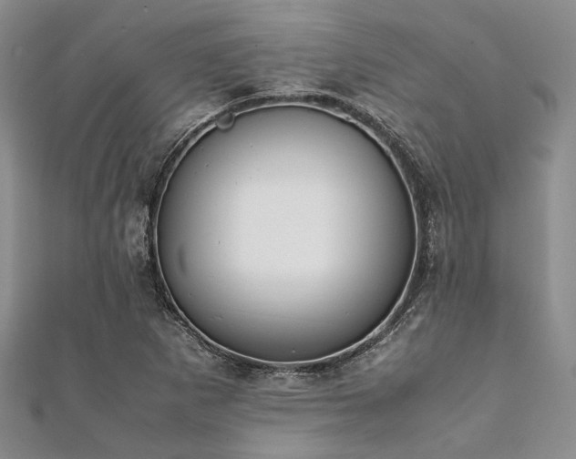 X0000112111265200908041534