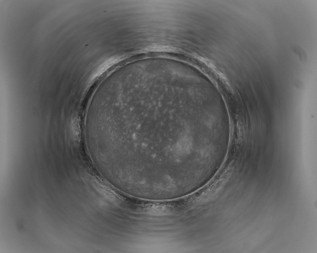 X0000112111266200908041534