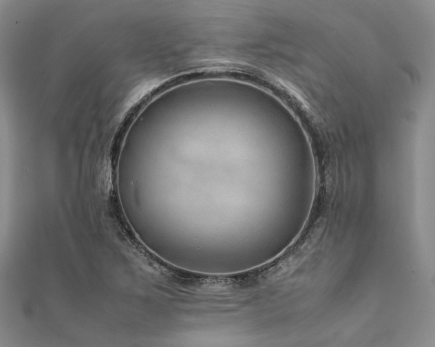 X0000112111267200908041534