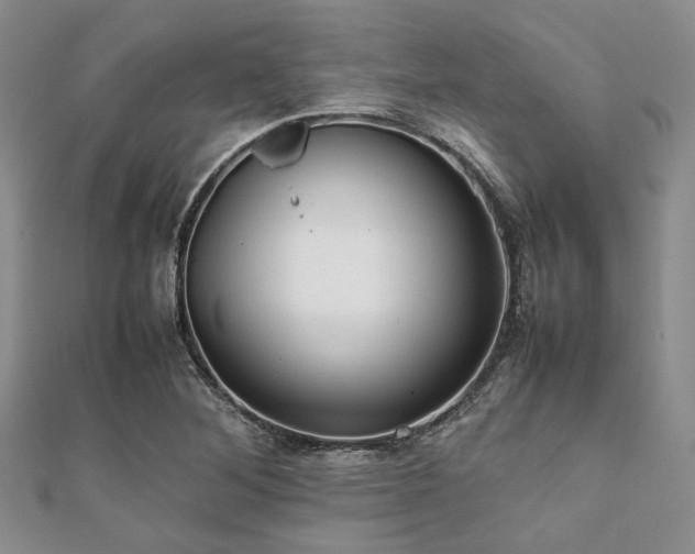 X0000112111268200908041533