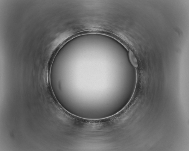 X0000112111269200908041533