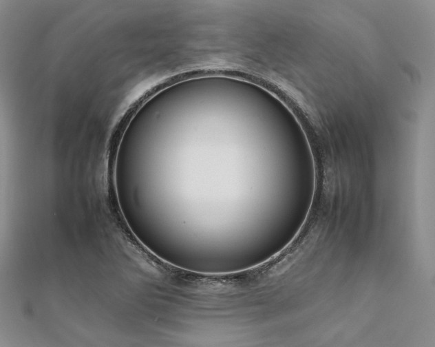 X0000112111270200908041533