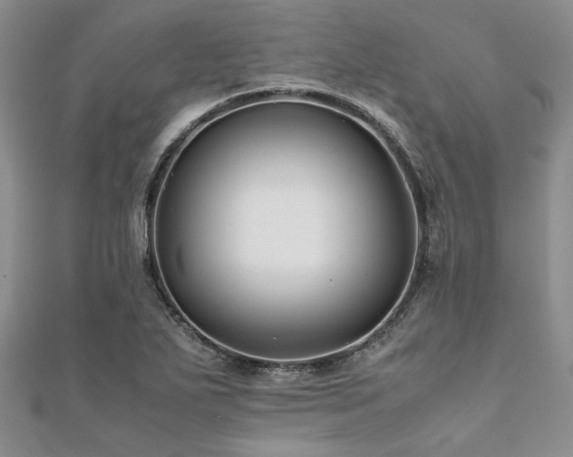 X0000112111271200908041533