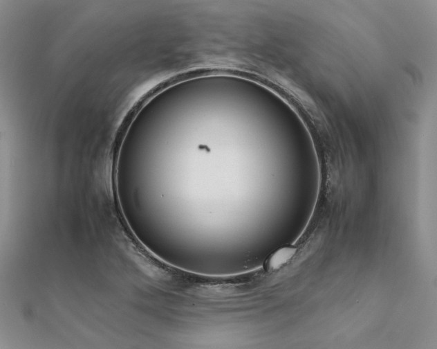 X0000112111272200908041533