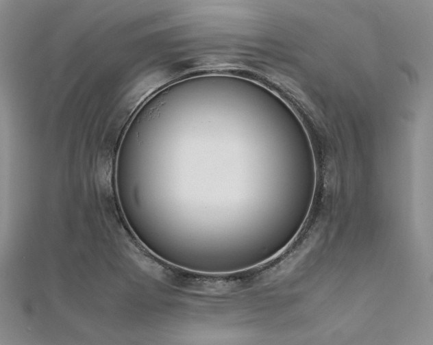 X0000112111273200908041533