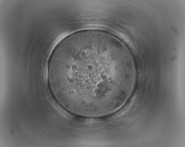 X0000112111275200908041533