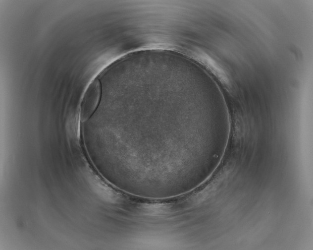 X0000112111276200908041533