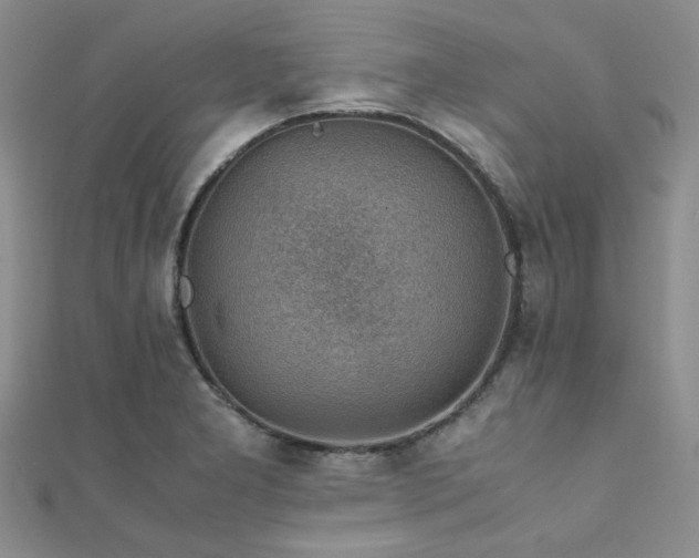 X0000112111277200908041533