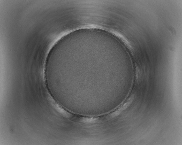 X0000112111278200908041533