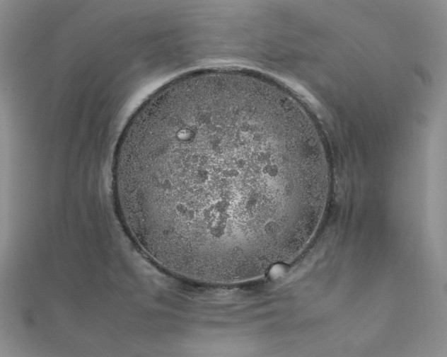 X0000112111279200908041533