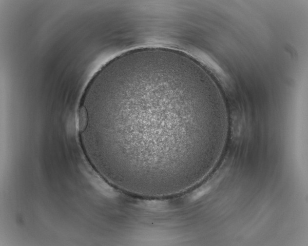 X0000112111280200908041533