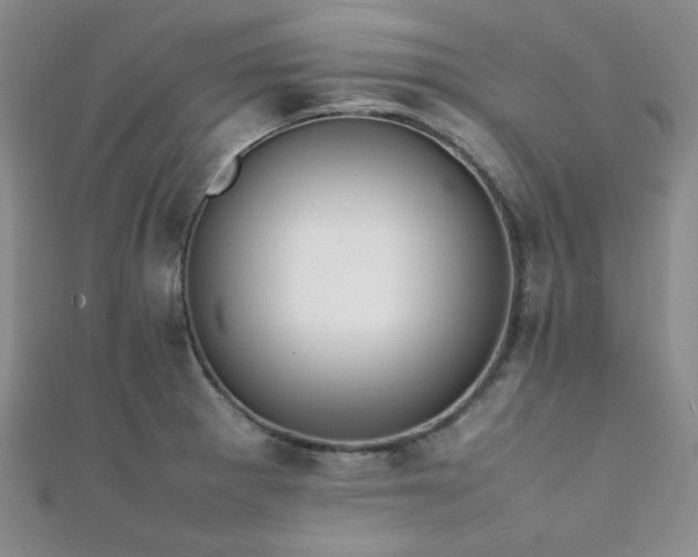 X0000112111281200908041533