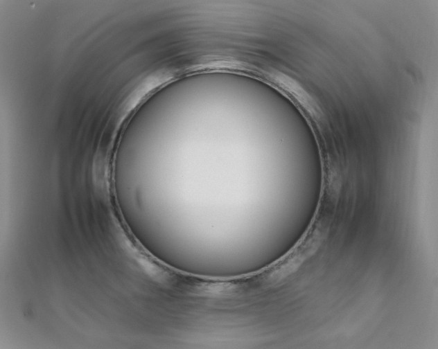 X0000112111282200908041533