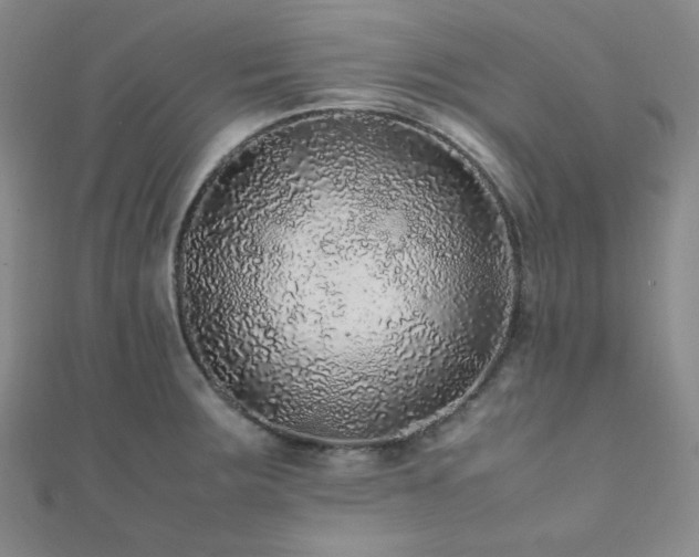 X0000112111283200908041533