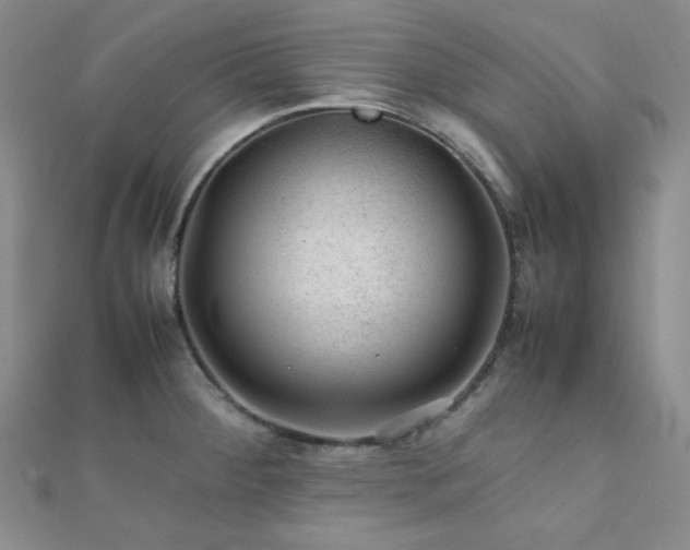 X0000112111284200908041533