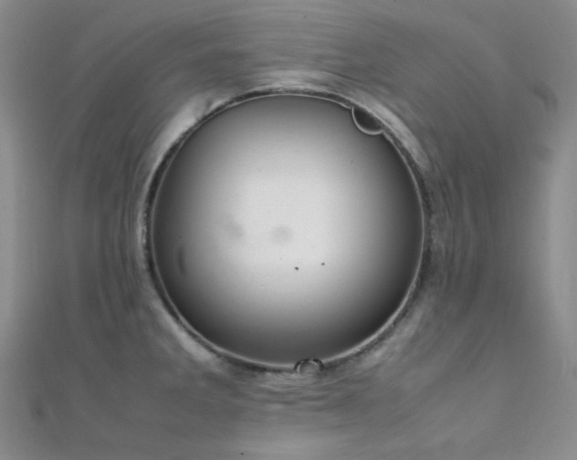 X0000112111285200908041533