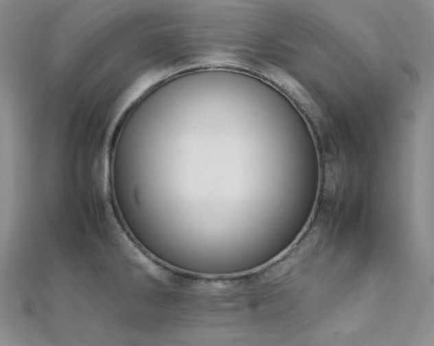 X0000112111286200908041533