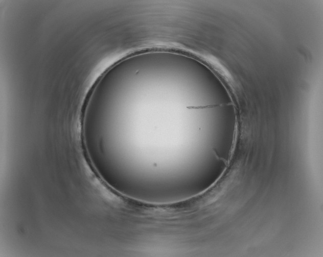 X0000112111287200908041533