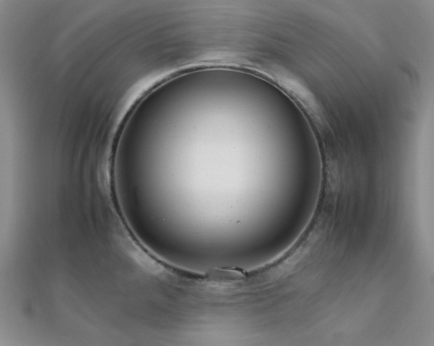 X0000112111288200908041533