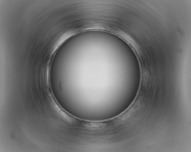 X0000112111290200908041533