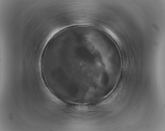 X0000112111291200908041533