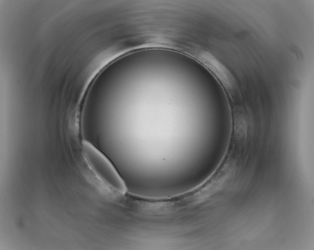 X0000112111292200908041533