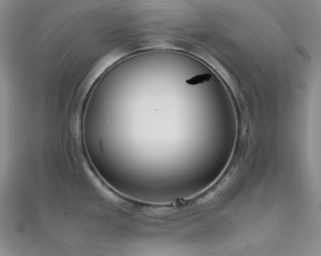 X0000112111293200908041533