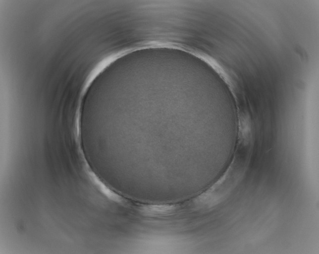 X0000112111294200908041533