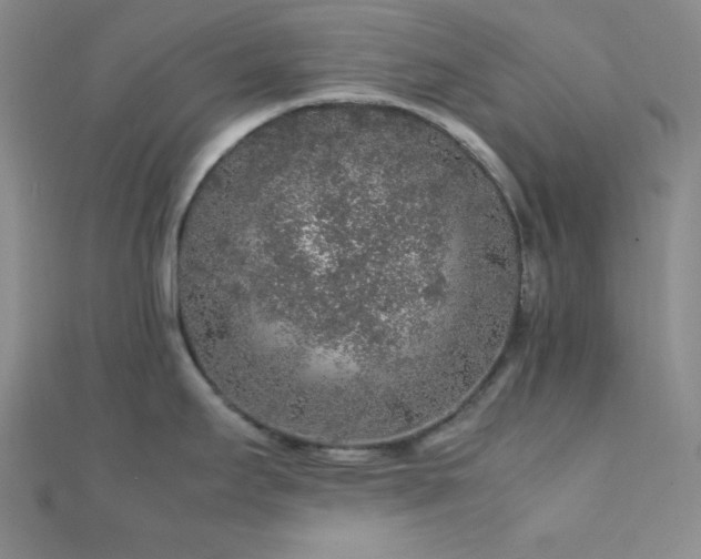 X0000112111295200908041533