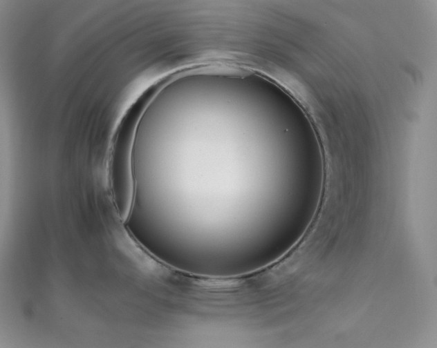 X0000112111296200908041533