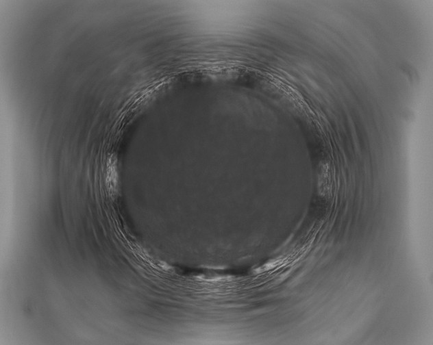 X0000112111298200908041533