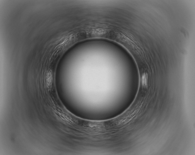 X0000112111299200908041533