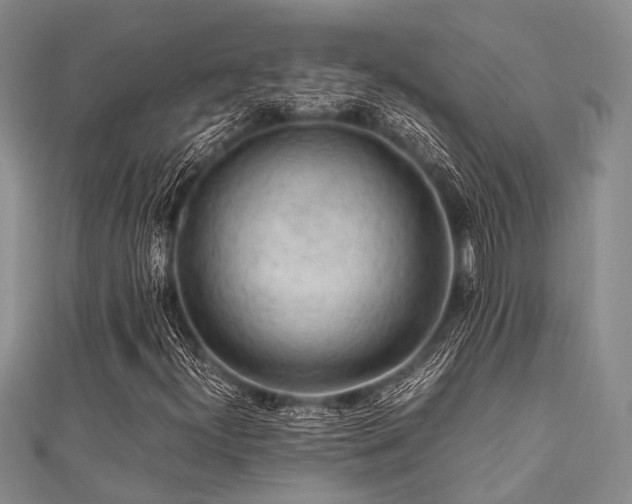 X0000112111300200908041533