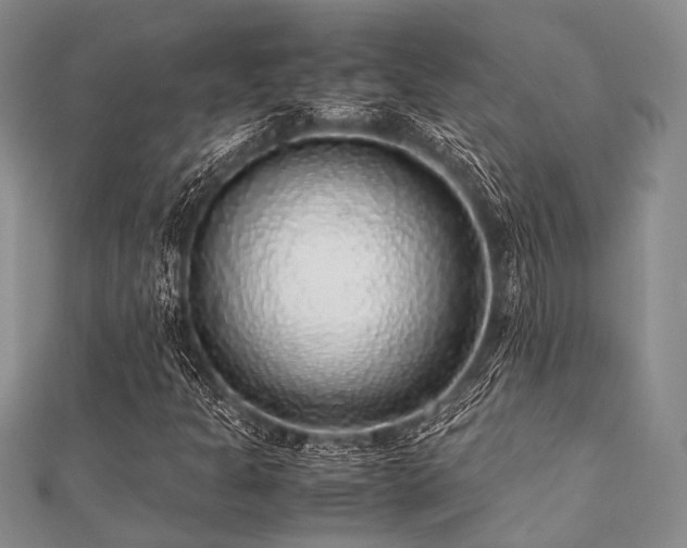 X0000112111301200908041533