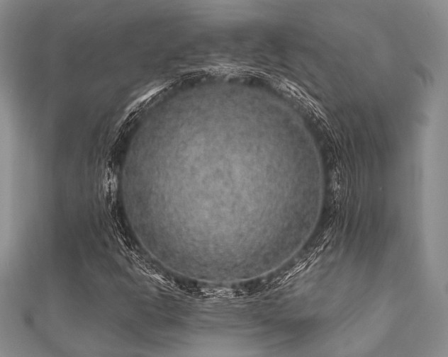 X0000112111302200908041533