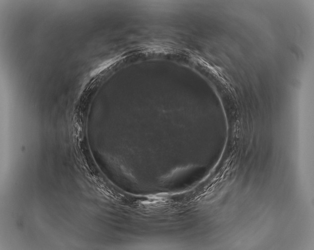 X0000112111303200908041533