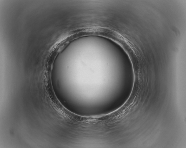 X0000112111304200908041533