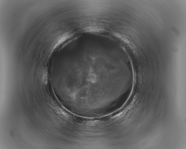 X0000112111306200908041533