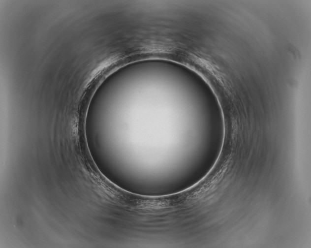 X0000112111307200908041533