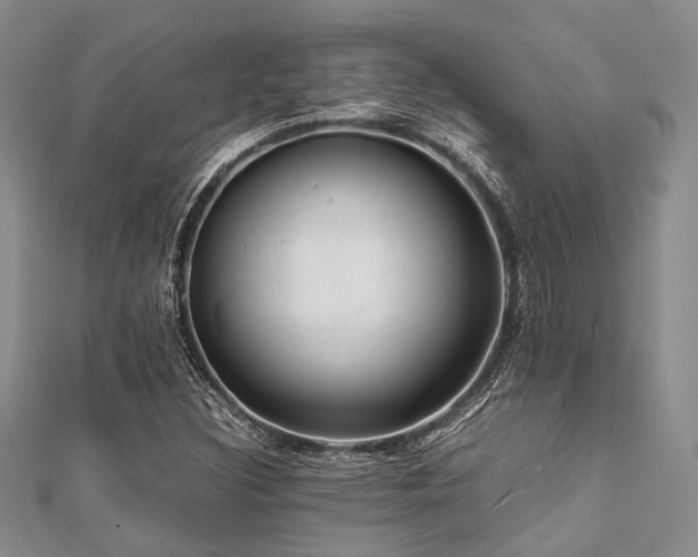 X0000112111308200908041533