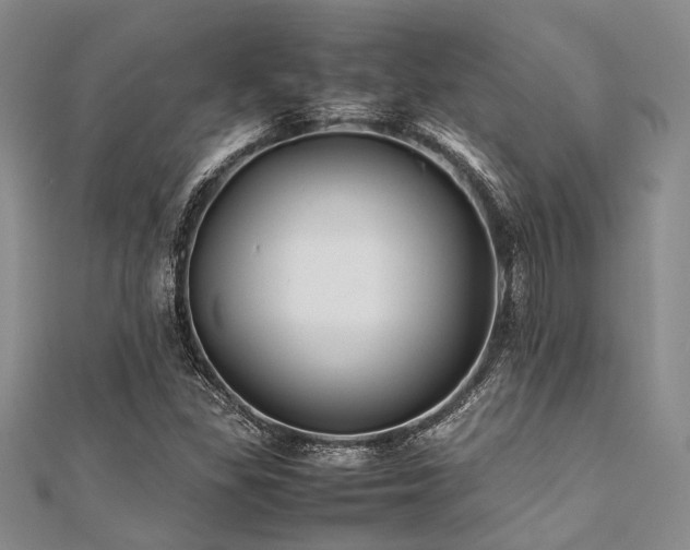 X0000112111309200908041533