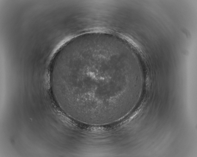 X0000112111310200908041533