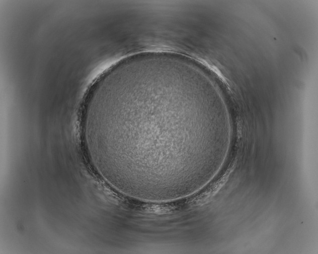 X0000112111311200908041533