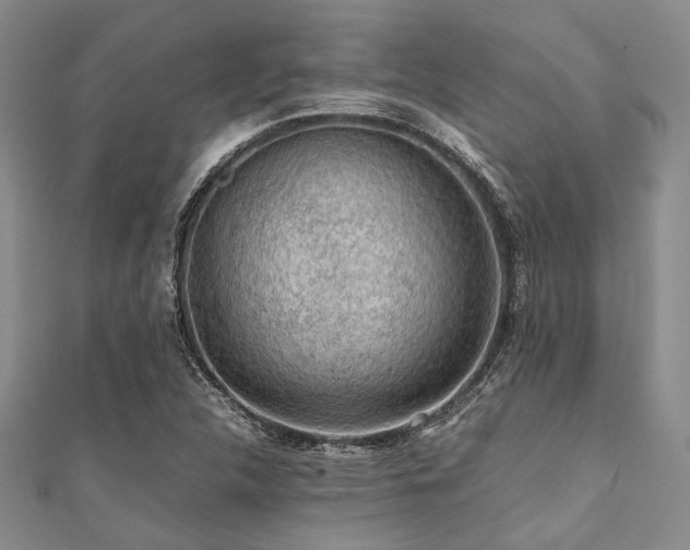 X0000112111312200908041533