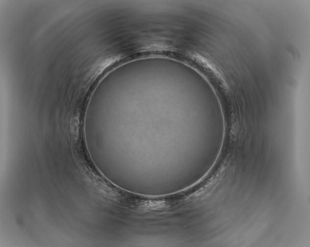 X0000112111313200908041533