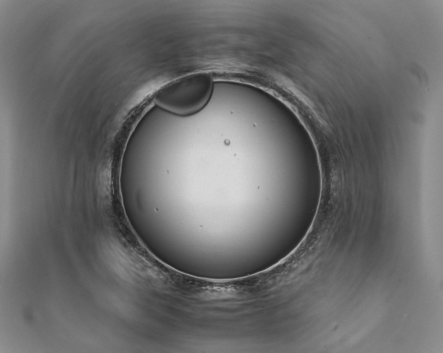 X0000112111315200908041533