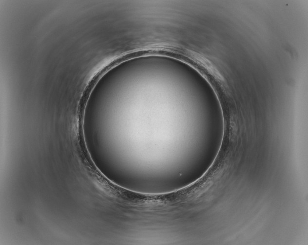 X0000112111316200908041533