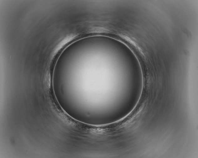 X0000112111317200908041533