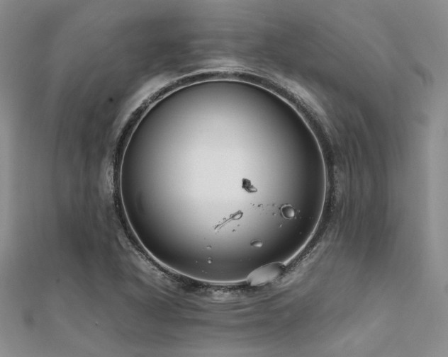 X0000112111318200908041533